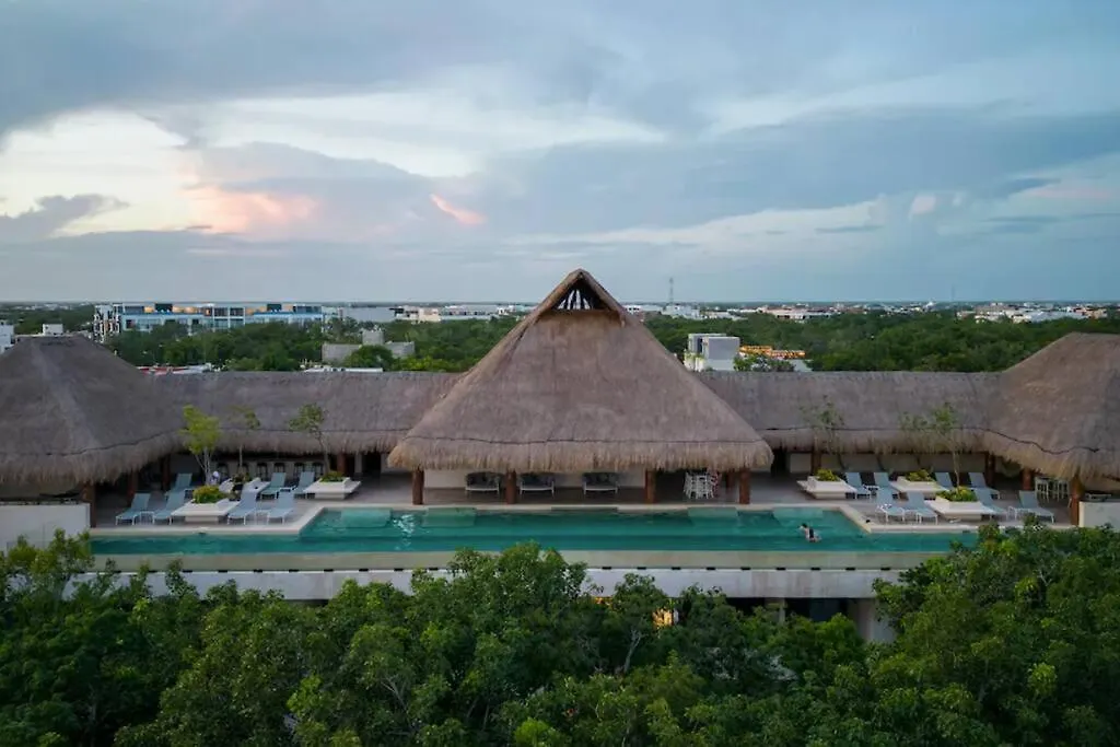 Apartment 2 Bedroom Apt W/Amazing Rooftop & Jungle Views Tulum